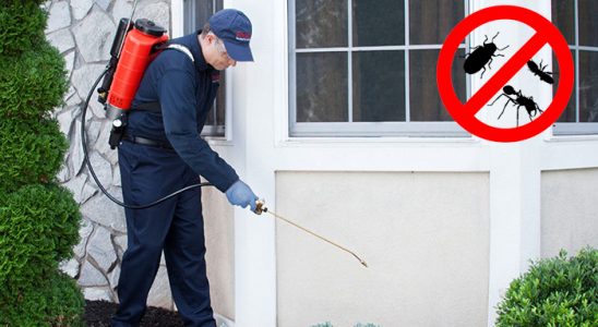 Doğanşehir Tahtakurusu İlaçlama böcek ilaçlama ve haşere kontrolü — ilaclama-tr.com